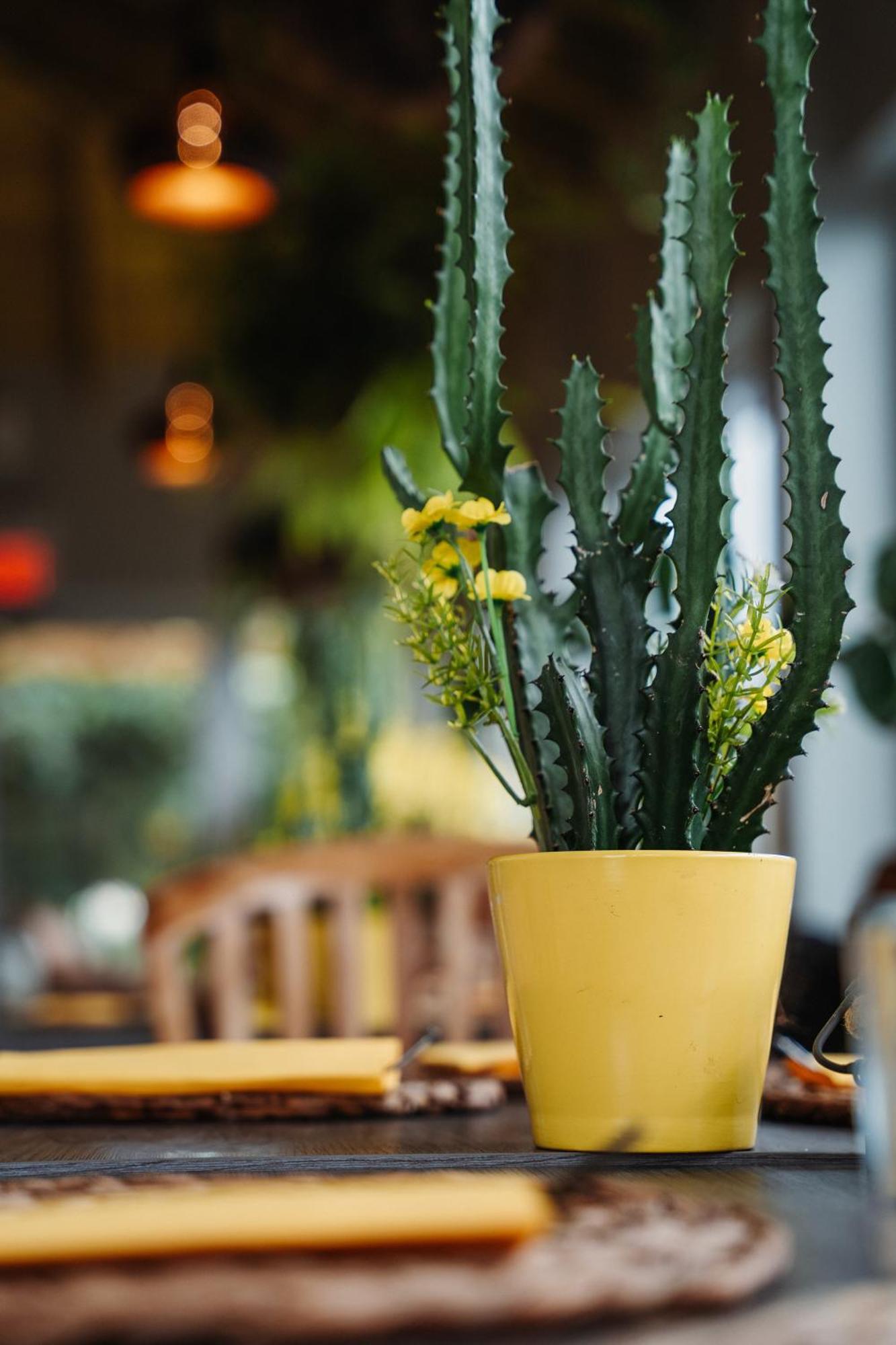 Hotel Rh Boutique Aruba Oranjestad Zewnętrze zdjęcie